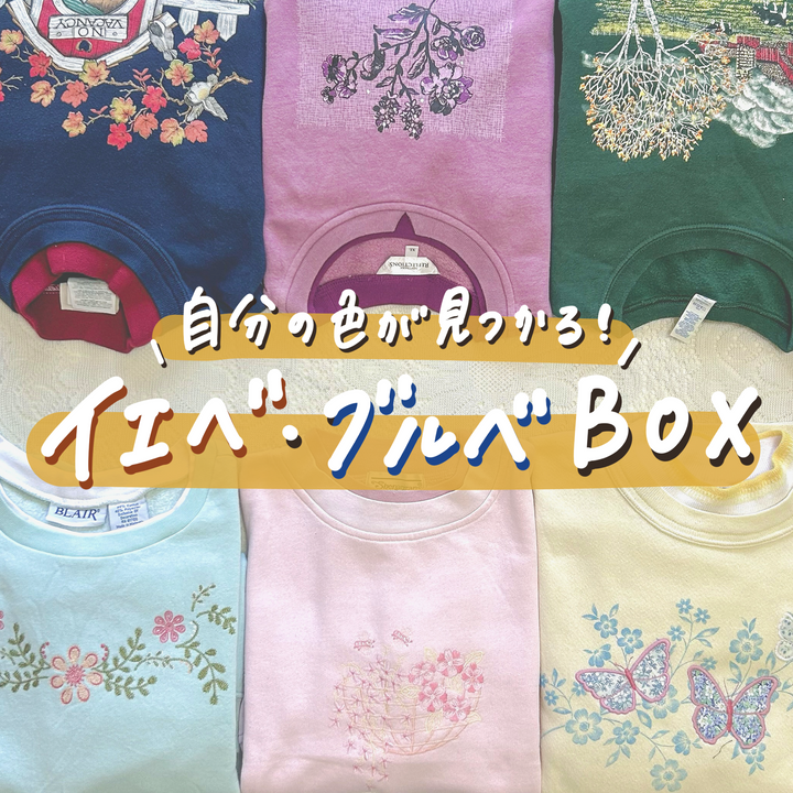 自分の色が見つかる！イエベ・ブルべBOX